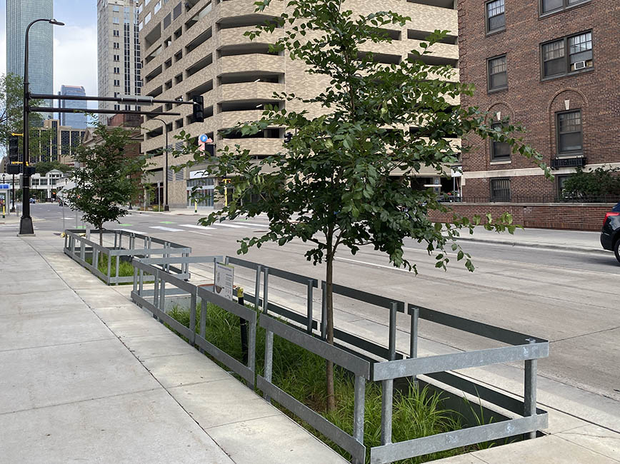planter box in sidewalk with trees and plants