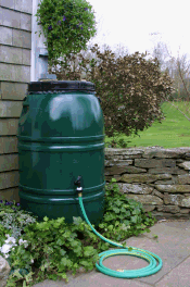 Rain barrel with hose for watering at a house