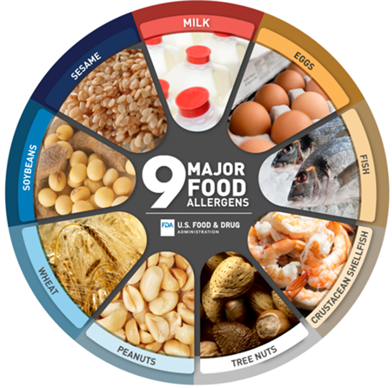 The nine major food allergens displayed in a circle: peanuts, tree nuts, fish, shellfish, eggs, milk, wheat and soy.