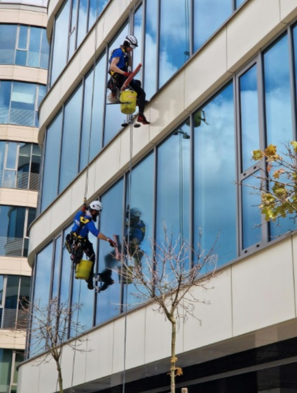 people cleaning windows using ropes to hang on the side of the building